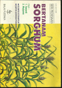 Image of Bertanam Sorghum